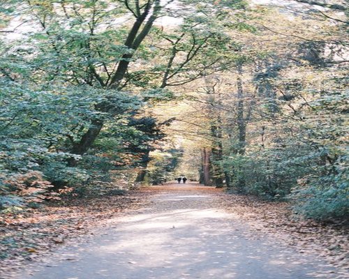 calm walk through an Italian city park with soft sunlight